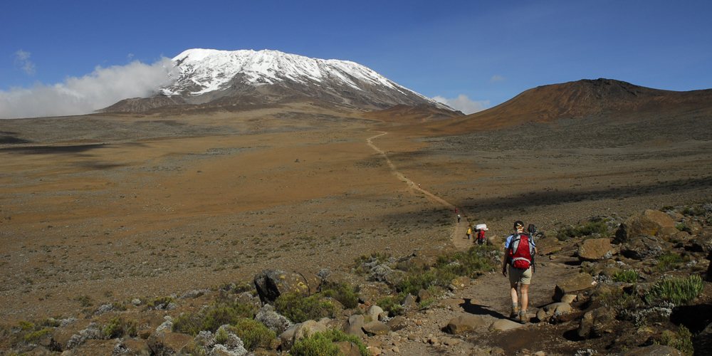 Bestigning af Kilimanjaro