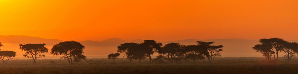Safari Tanzania og Østafrika