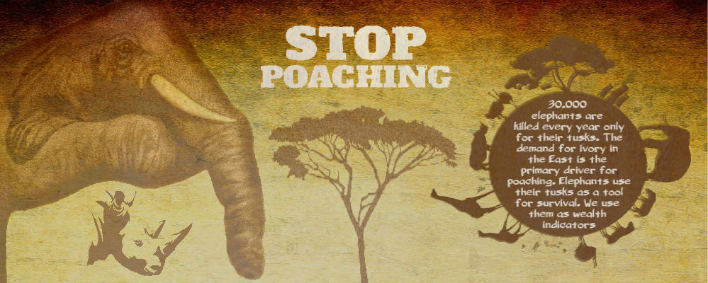 Stop Poaching