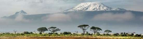 trekkking kilimanjaro og plante